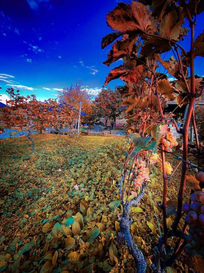 Chateau Iqaltʼo Bagian luar foto