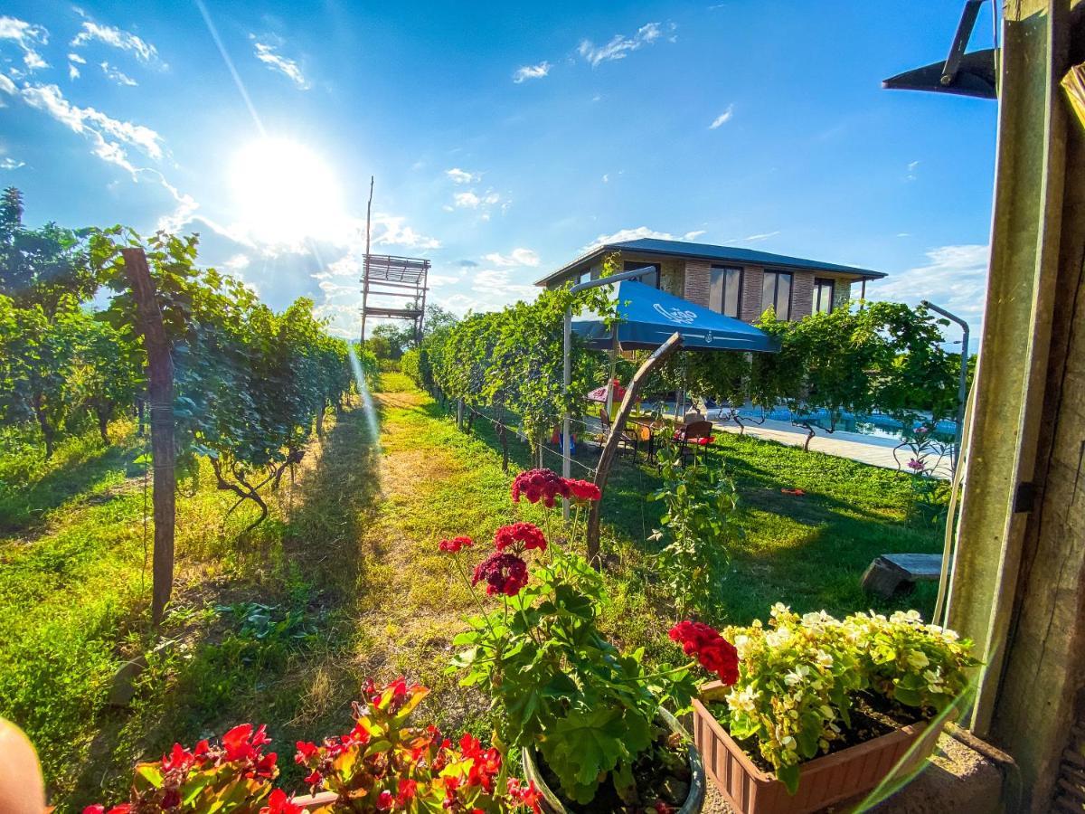 Chateau Iqaltʼo Bagian luar foto